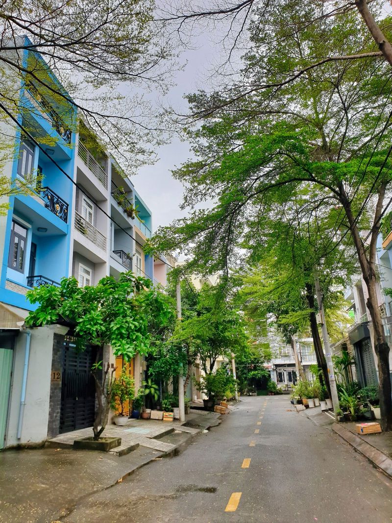 Đường nội bộ KDC Phú Lợi, hai bên cây xanh, nhà phố liền kề